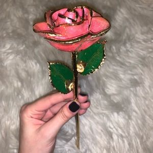 Sweetheart Pink 24k gold dipped rose